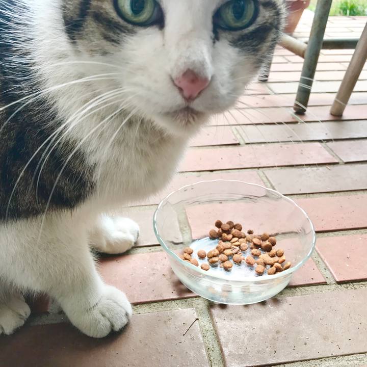 2292335a 6ac8 4a21 a943 e504f01abffe