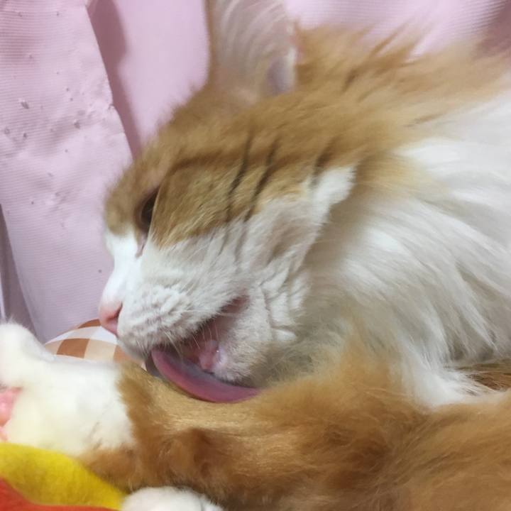 22928952 95b8 43c8 a9c6 e569012a343c