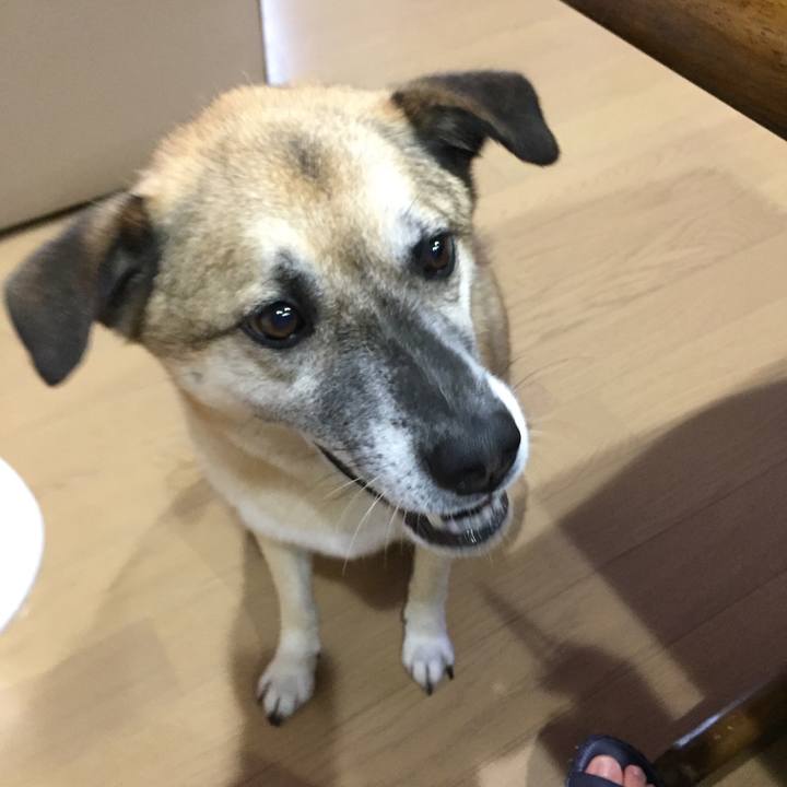 22932a53 0735 48a2 8dff e826a1d7d973