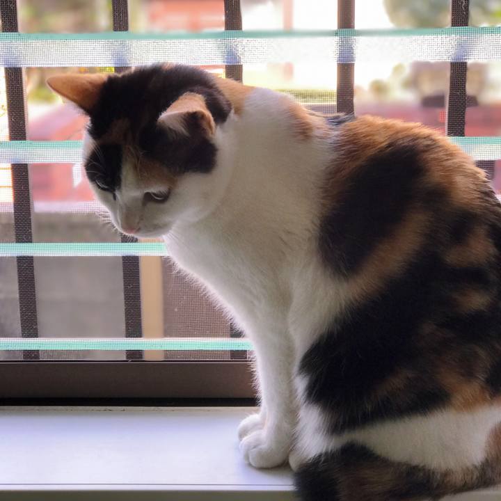 2293375b 2741 49a3 9e03 eb1dd600f1e2