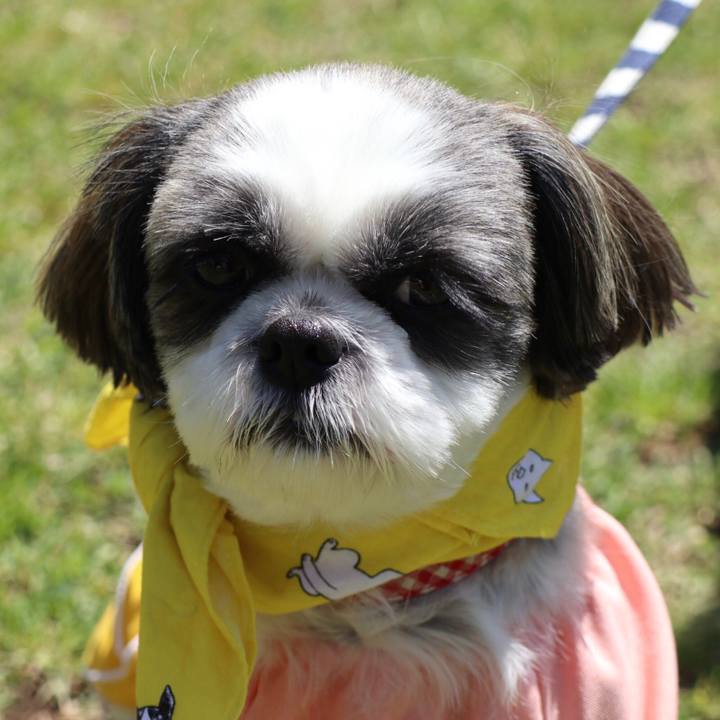 2294085e 447b 4876 9819 77eaf6a8a327