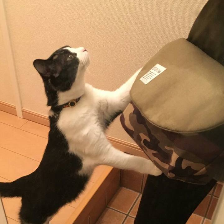 2294a0cd e1a6 4256 bd40 bd9d403c0639