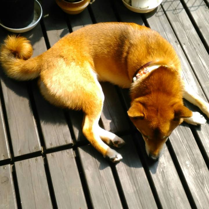 2294b089 a3e6 4fcf bbaa f14a95330e6b