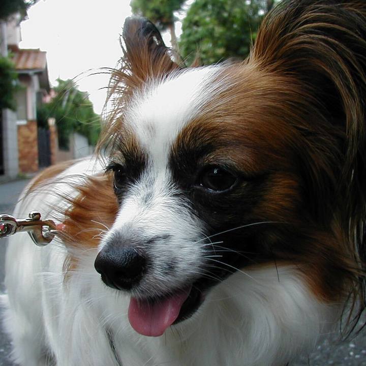 22954f16 dd36 41c6 9ec0 ba4657c2db6f