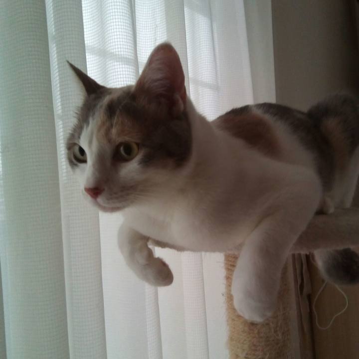 22958752 d85a 4fd5 860a d4d9a93c8121