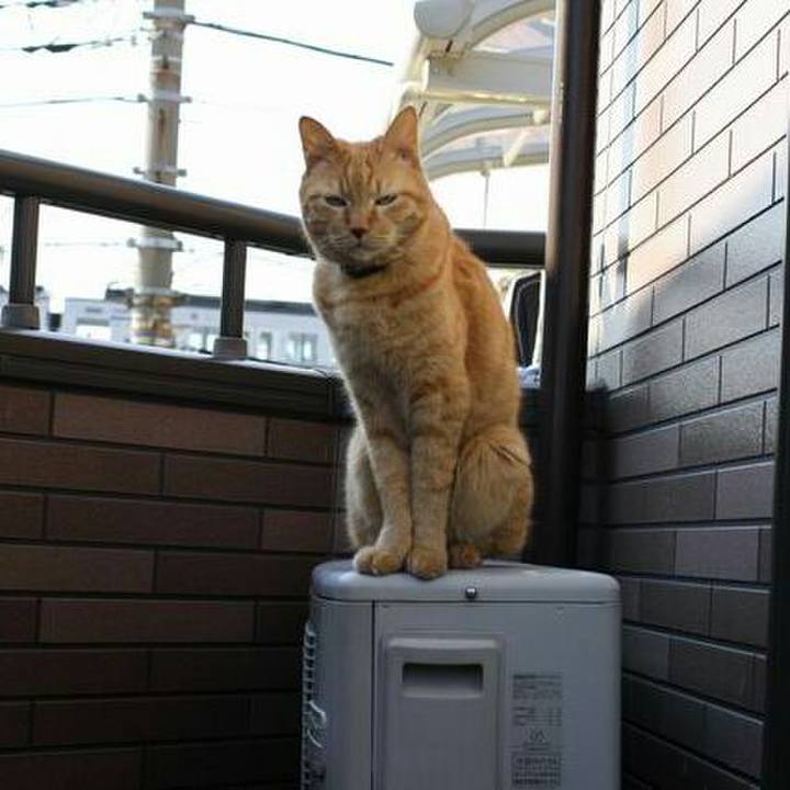 2295ad8d b5f4 4f93 a5fa 90664766bc3b