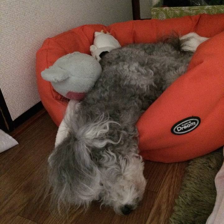 2295f5d6 0e23 4ab0 9f0c dc440ef956b0