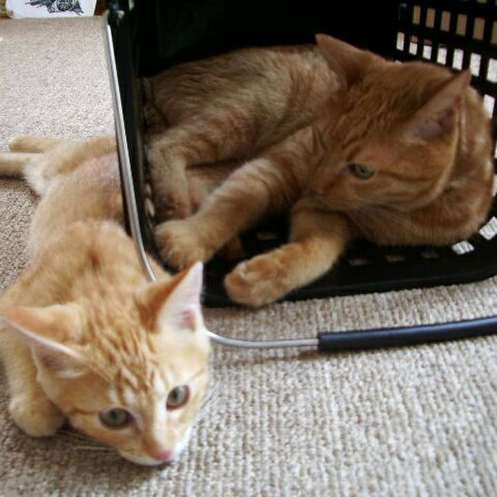 22967327 af99 4230 b0b3 64f9b4aa077d