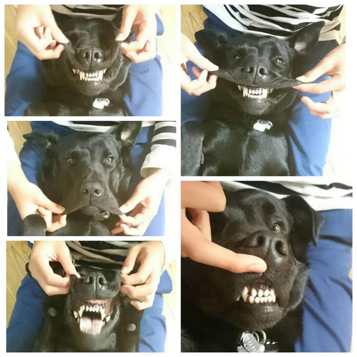 2296b55e 310d 41a8 8643 9d6323353667