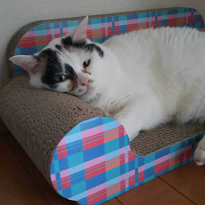 2296f17f e103 4dd3 b69d d1f25b158fcd