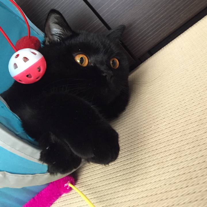 2297858a 2ed7 42cc 92c9 0ef1bbc1d8e7