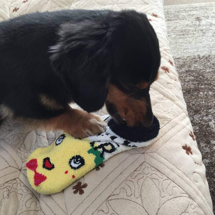 2297914c 197b 4667 a34c 775a638270cb