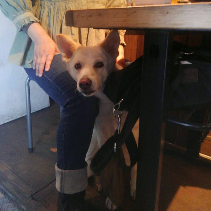 2297e98a 8e37 4e91 9895 69279f6913b2