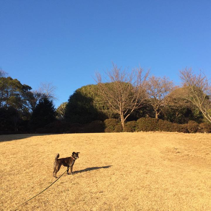 22987128 a758 4fc8 b8ca 9af793fb6eb4