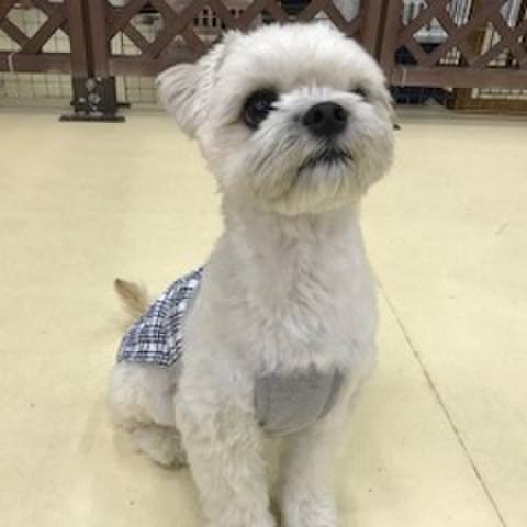 22988fe8 0753 4c1b b9bf 0b15ccfacaf9