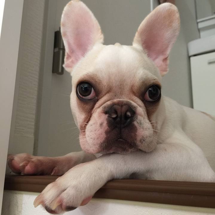 22989e3e 3bdb 4e4c 9f35 abc660c5ceb0