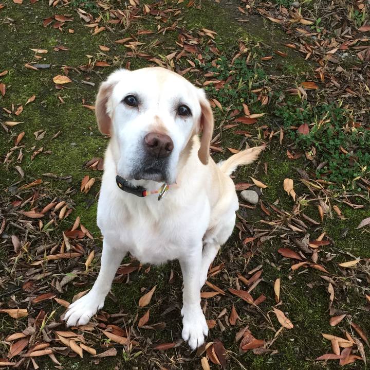 2299651b d2cb 4726 b1f1 a9895f7a93c7