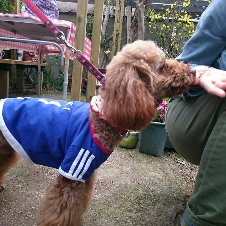 2299885b 6566 410e 8f38 241252f1822f