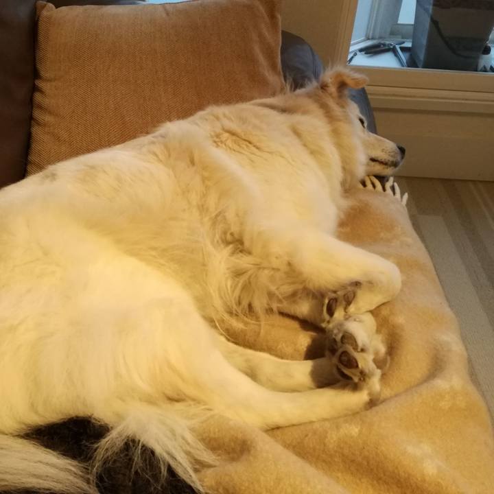 229ad69d b3be 455a b7bb 11b8412f6e7b