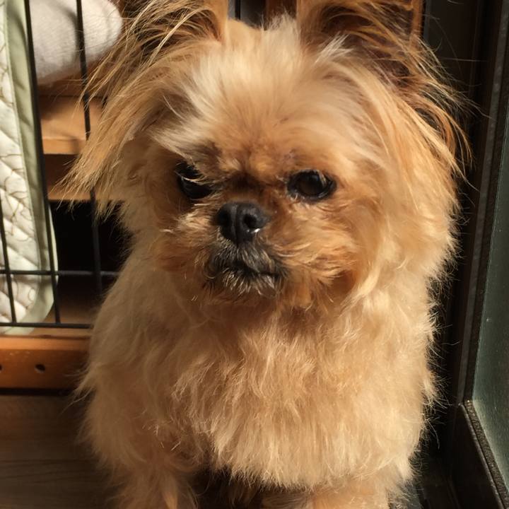 229adcc7 1897 46b2 8eac 680944aaab13