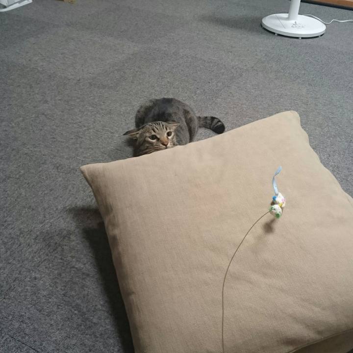 229af9fc b4b8 44f0 866e eb29e0560421