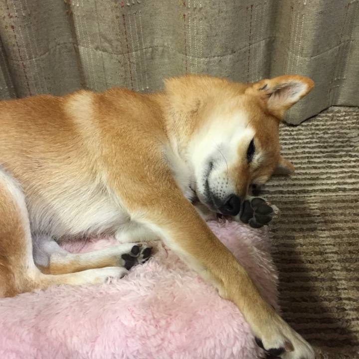 229b2040 f27a 4745 9ef4 3f8d9a354993