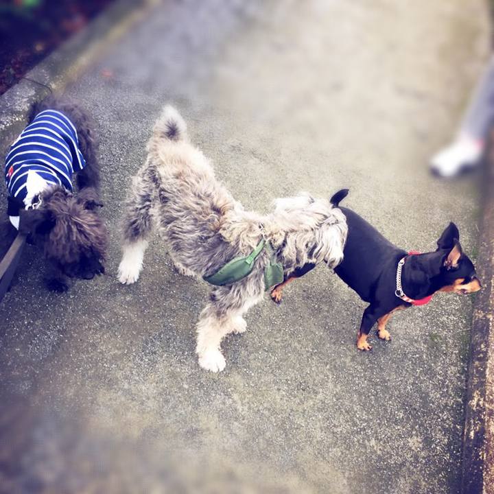 229bf876 5e3e 4d59 b1d7 6d300affef86