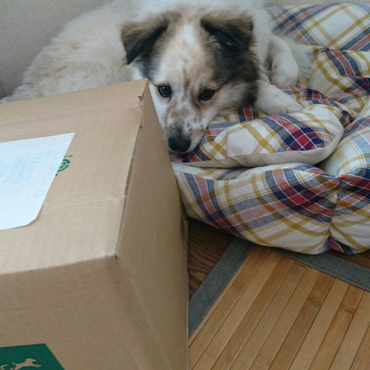 229c26cd e6d4 4ce8 95ce d6e09aa87eee