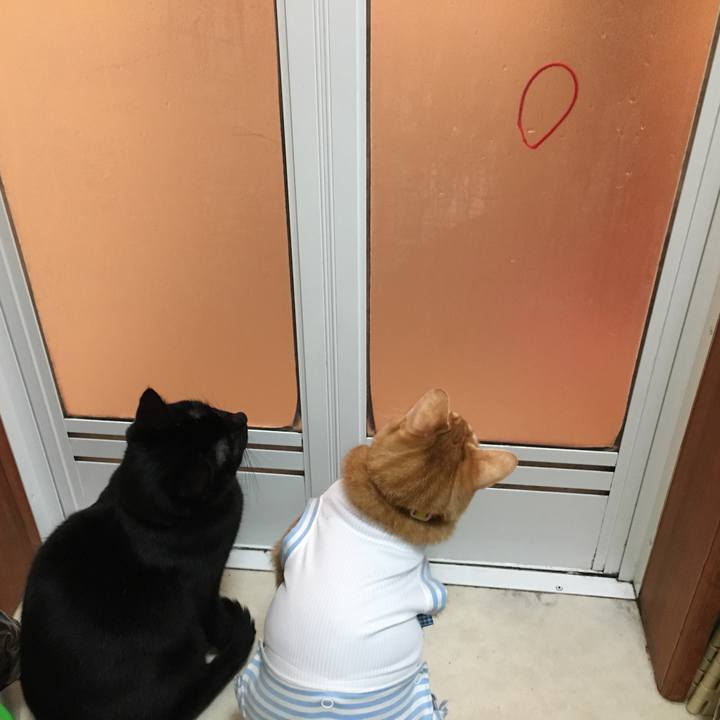 229d10d0 bd4c 4056 9a48 1f97b6be3b6d