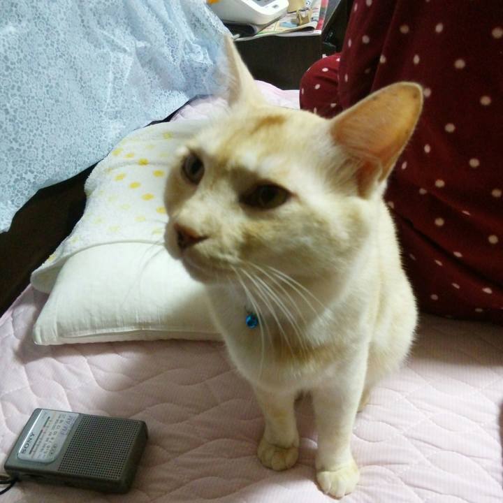 229d3f06 c3bb 4ee6 ae1f 9ddbd610379b