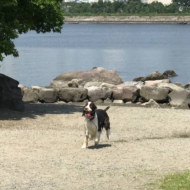 229e2fa8 ab43 4bba a9eb ed16bb429d44