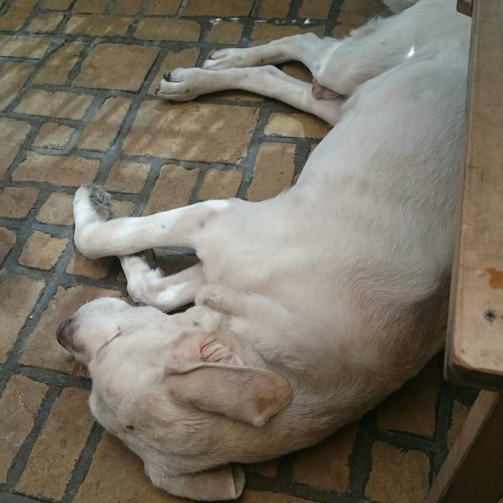 229ef17b fad4 40f1 9018 ddf3053dbc9e