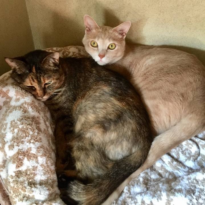 229f4127 449d 41aa afed f2bb45557971