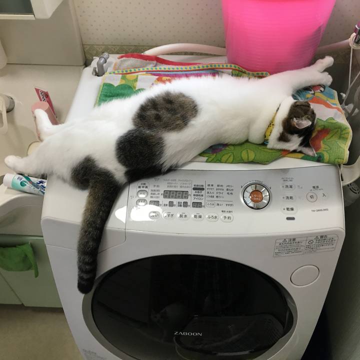 22a02316 aa73 47f2 8658 88f100ea4b7e