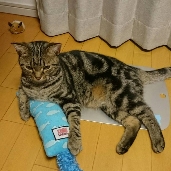 22a16692 409d 43f0 8c8d 0d4245cb8e8c