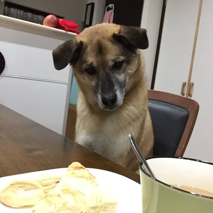 22a19b70 9e29 49e0 a088 c2800933d021