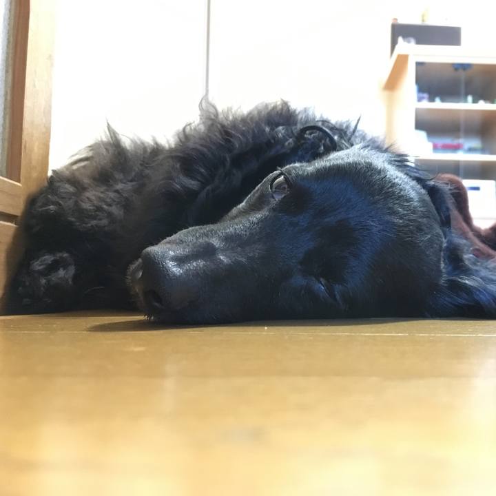 22a1cf9b 7990 45a3 8c78 01760e54f6bf