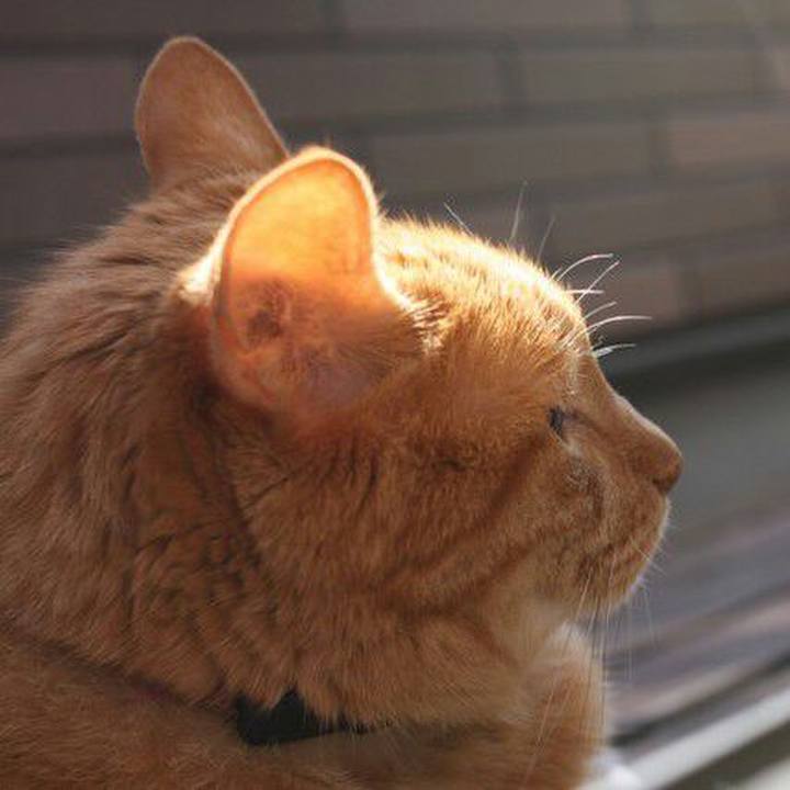 22a1e45b 6731 489d ba3c 36f2698e903d