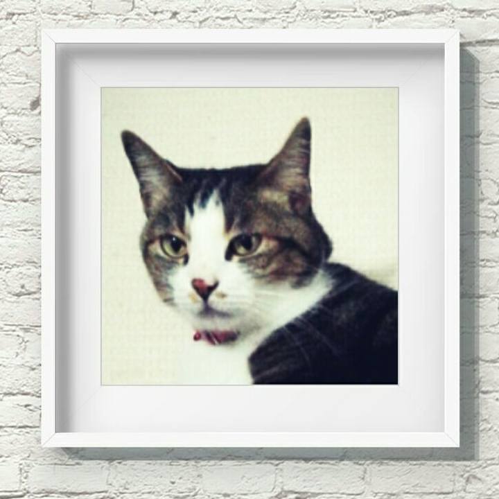 22a38baa 4863 4318 9172 f0b803bdb695