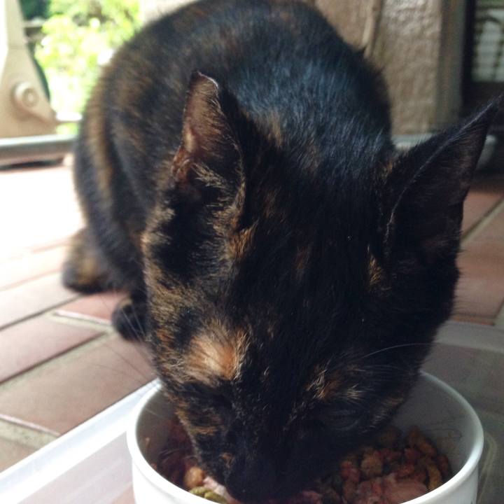 22a40c14 cabb 4e77 b8a0 d7ebd682588c