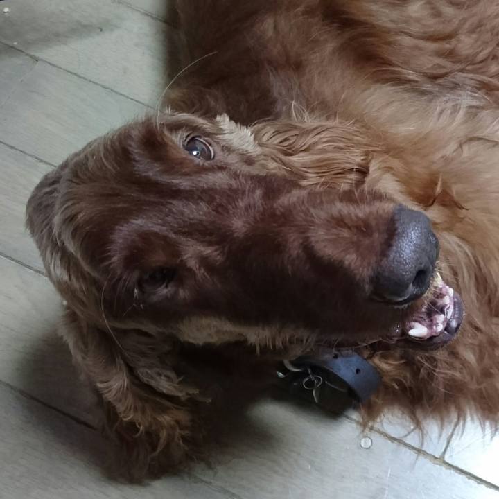 22a4e98f 28d7 47c3 bc25 fe9a6fb14a24