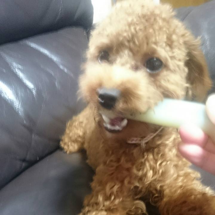 22a4ebb4 0474 40b3 be9d 5b014e234eba