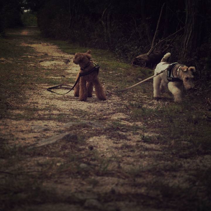 22a514ed b279 48e9 9822 98e38585cf2f