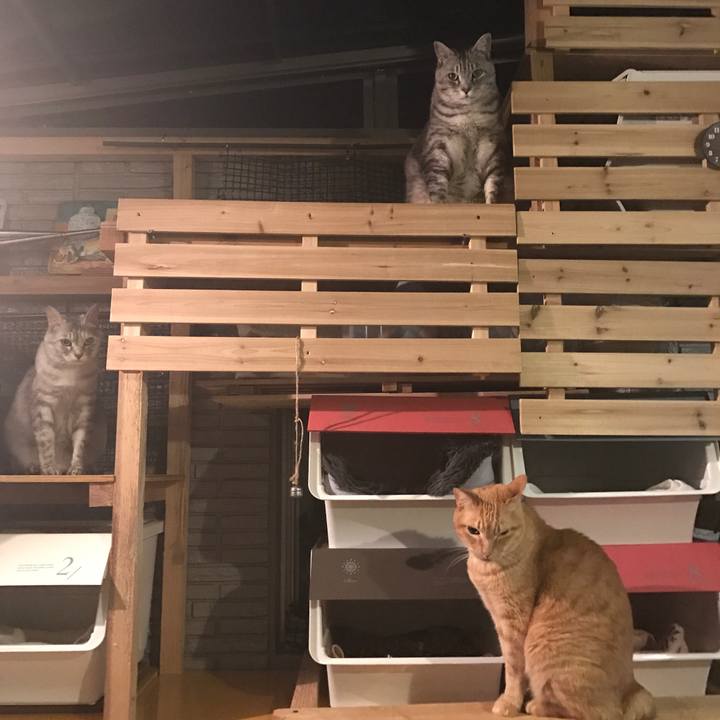 22a51b46 2e06 4466 90ba e006a61f670f