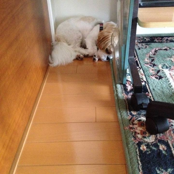 22a5733d 3059 4e44 a104 d47a2049ef43