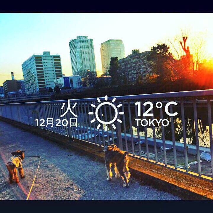 22a631df 7021 43f7 961c ed5d8fe2130f