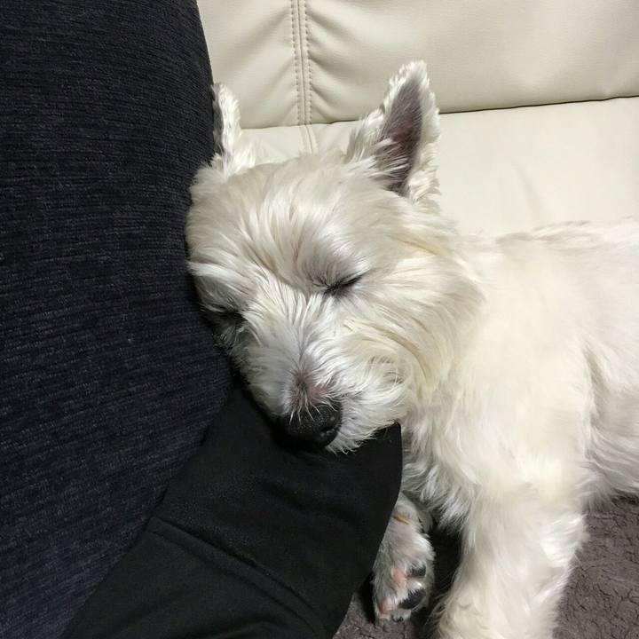 22a64838 1e6b 4b63 ac73 4db7536fa07e