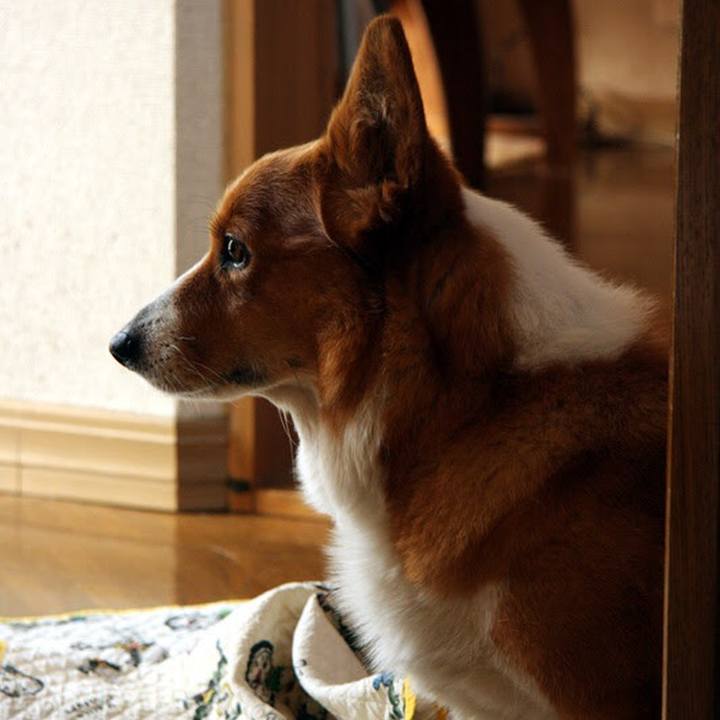 22a77f63 898a 423e bd81 a4bb873dbf1d