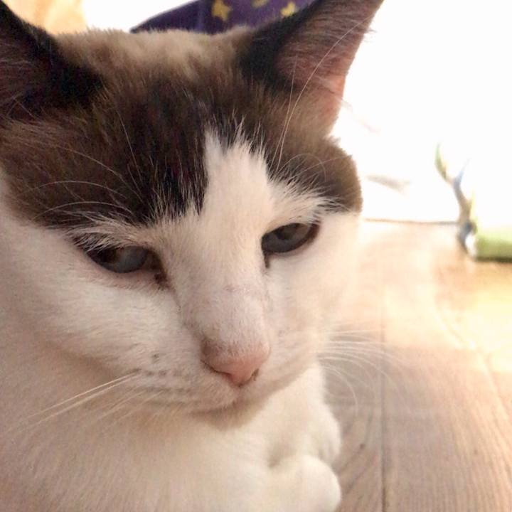 22a88146 c1ea 41ba 9324 706890e6ca8b