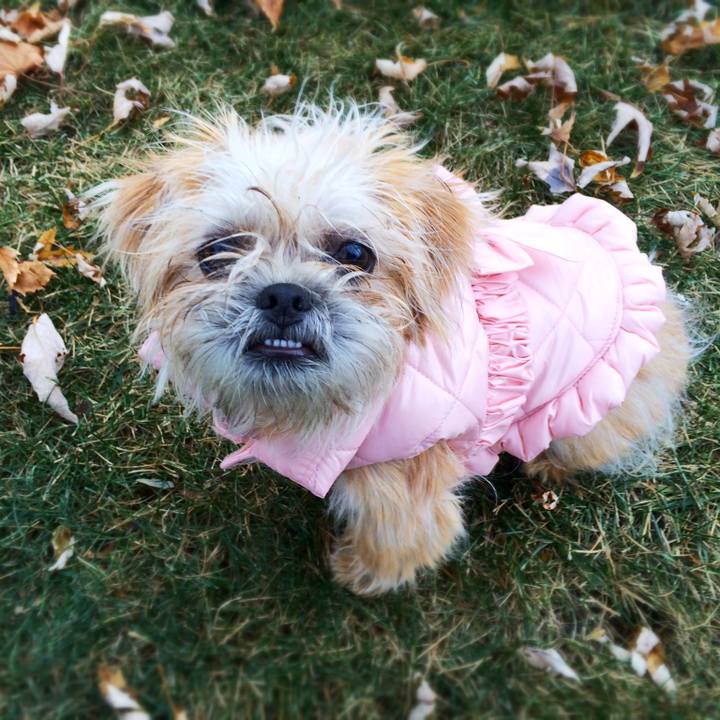 22a8907f 2817 48a3 bd5a 0908b6848e2a